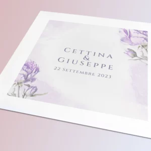 46 copia